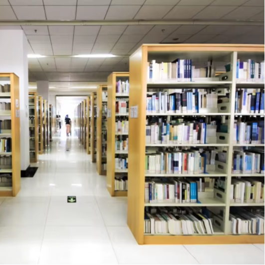 Home Office Library - Rak Buku Dua Sisi Langsung dari